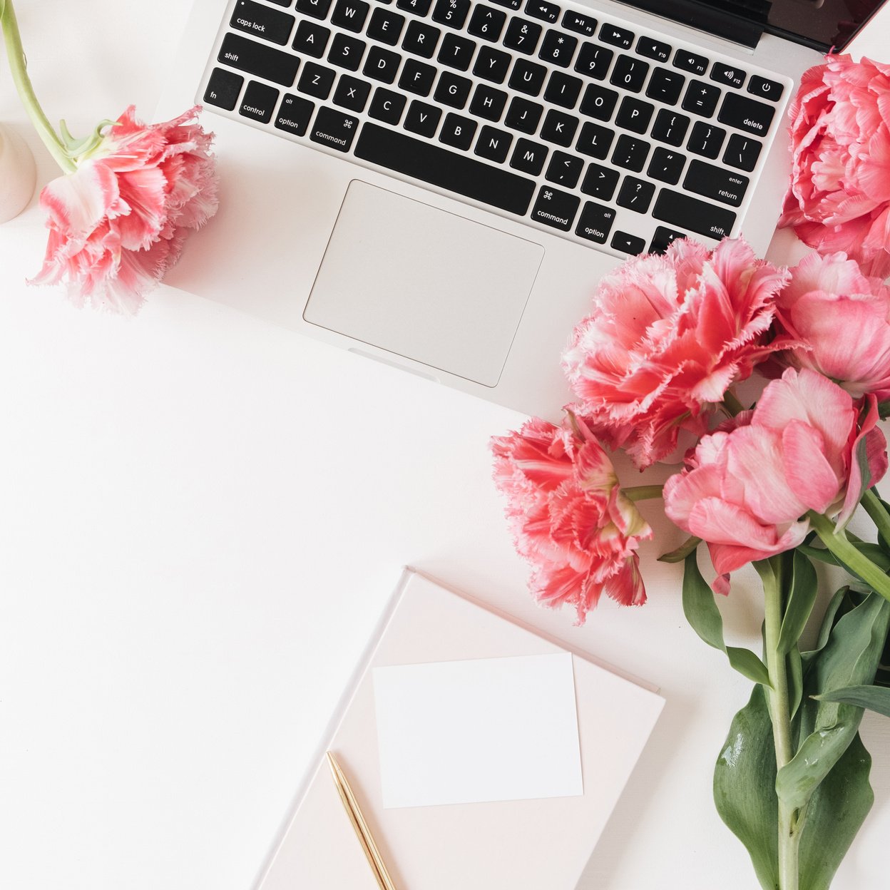 Pink Flowers and Laptop on White Table